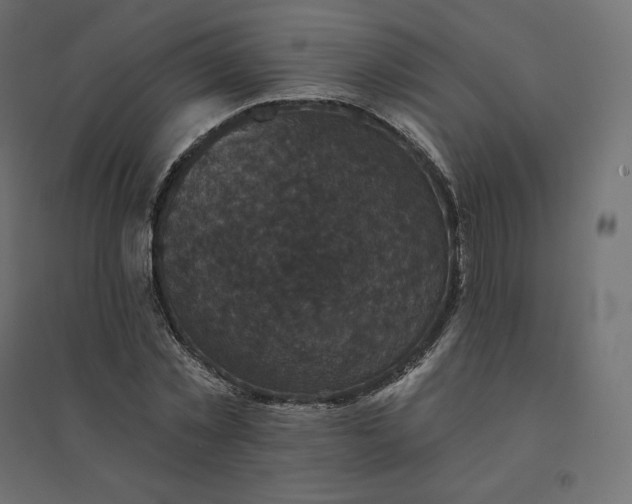 X0000094440781200711211455