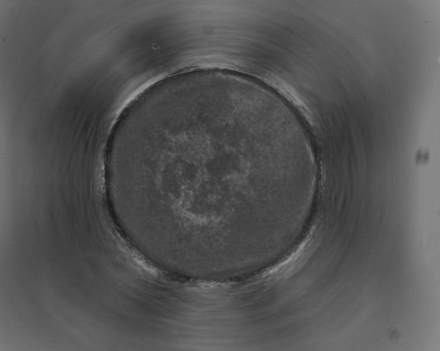 X0000094440782200711211455