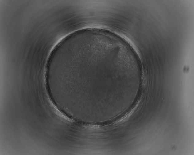 X0000094440783200711211455