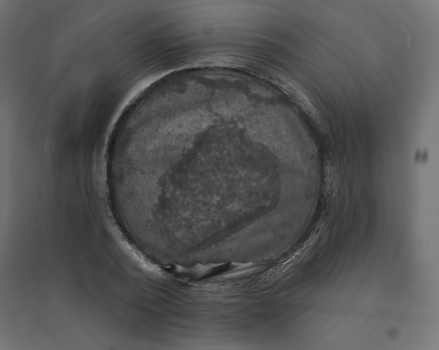 X0000094440784200711211455