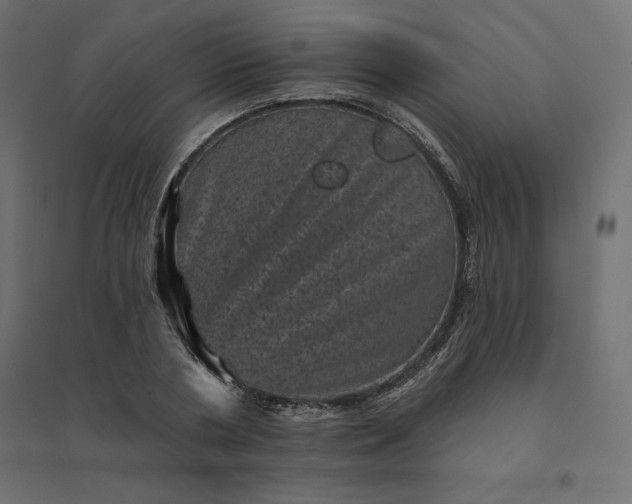 X0000094440786200711211455