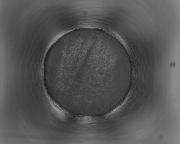 X0000094440787200711211455