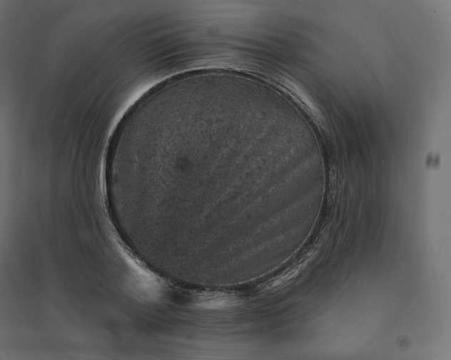 X0000094440788200711211455