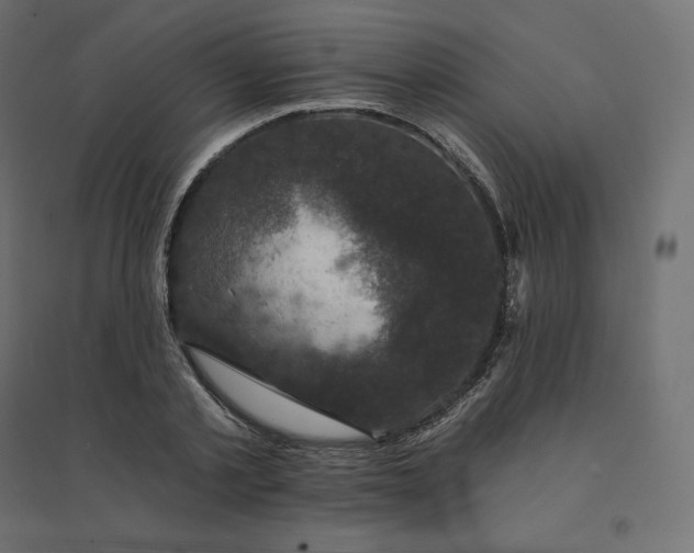 X0000094440789200711211455