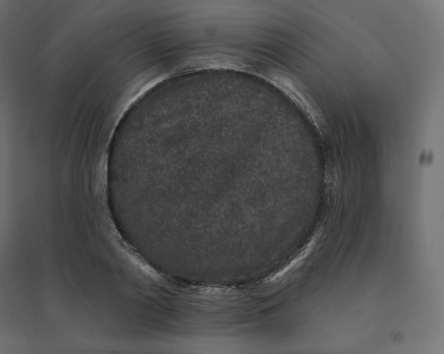 X0000094440790200711211455