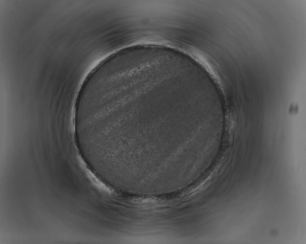 X0000094440791200711211455