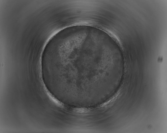 X0000094440792200711211455