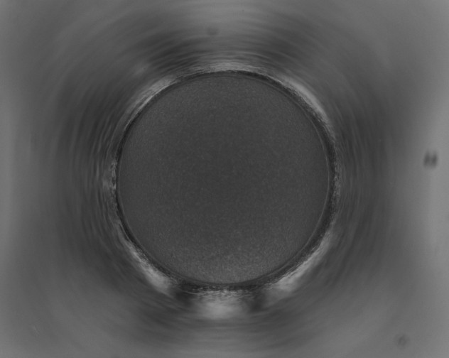 X0000094440793200711211455