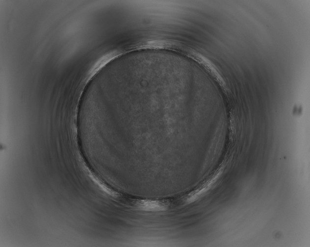 X0000094440794200711211455