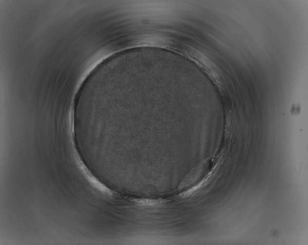 X0000094440796200711211455