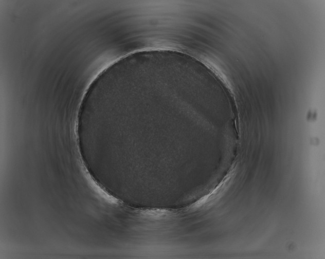 X0000094440797200711211455