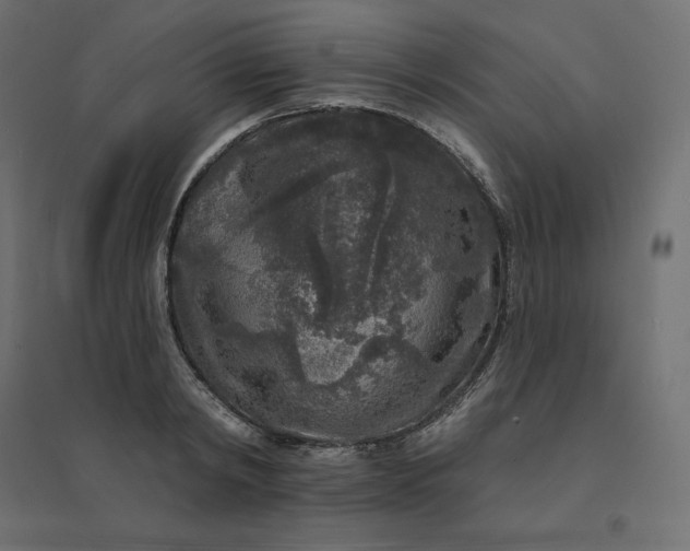 X0000094440798200711211455