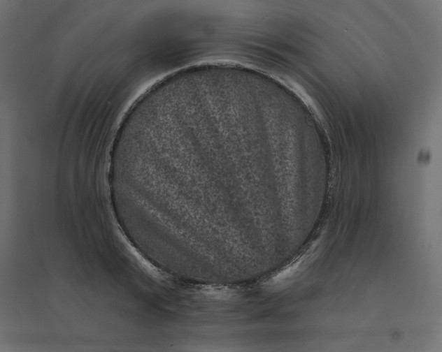 X0000094440799200711211455