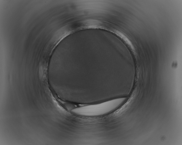 X0000094440801200711211455