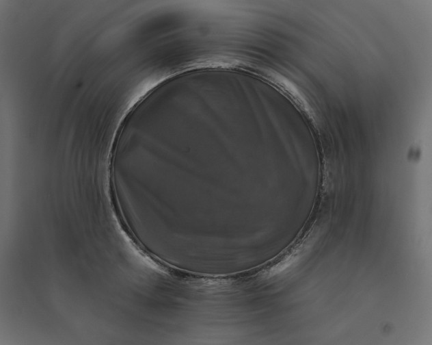 X0000094440802200711211455