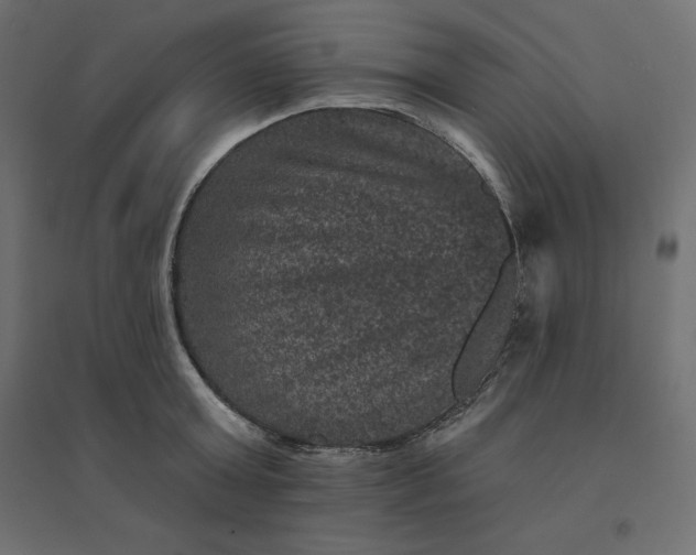 X0000094440803200711211455