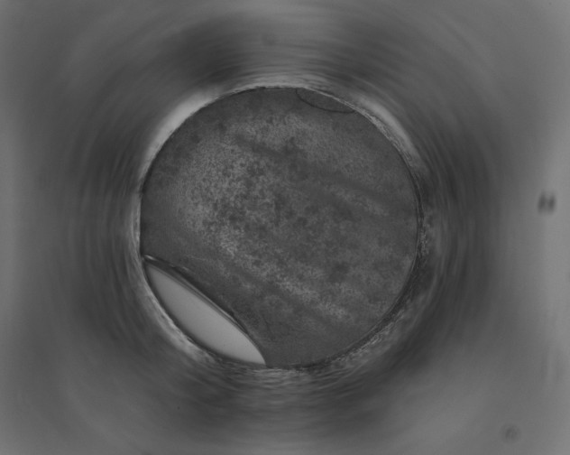 X0000094440804200711211455