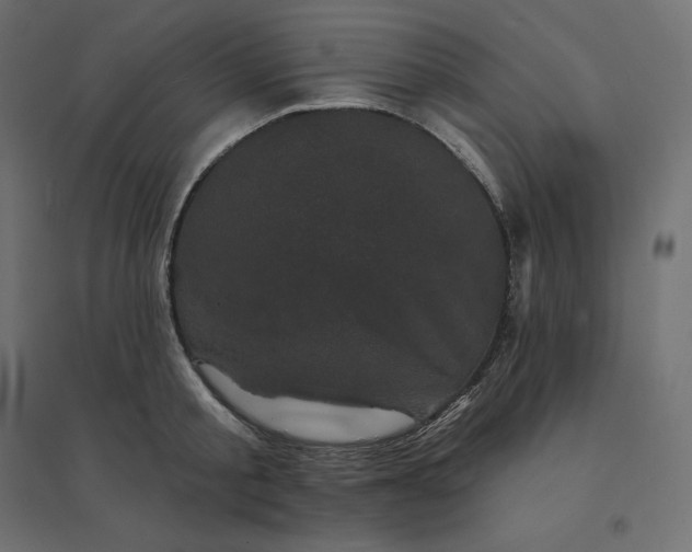 X0000094440805200711211455