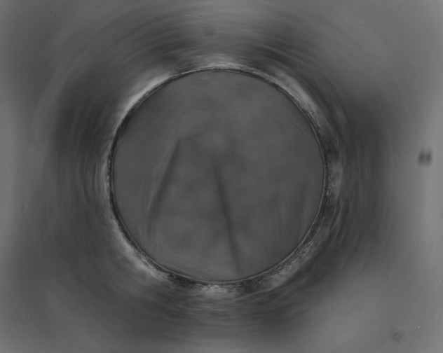 X0000094440806200711211455