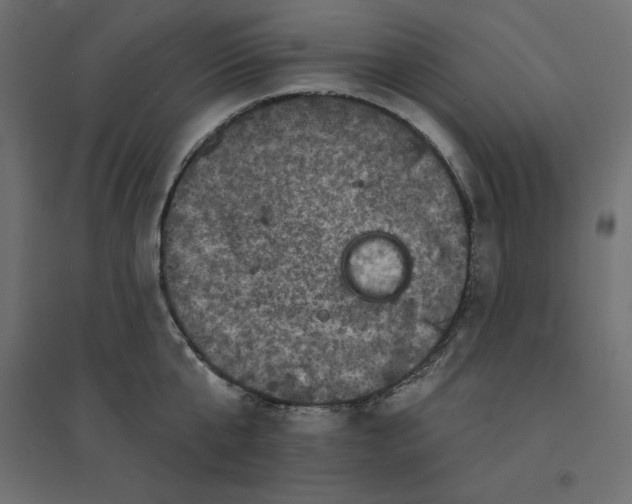 X0000094440807200711211455