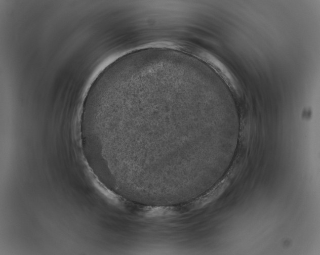 X0000094440808200711211455