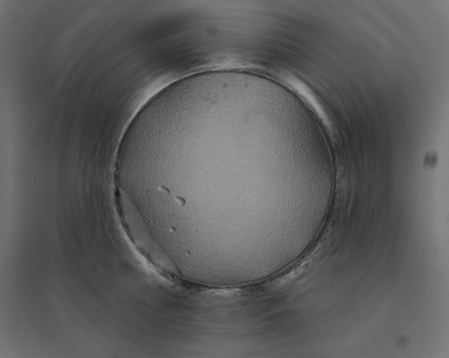 X0000094440810200711211455