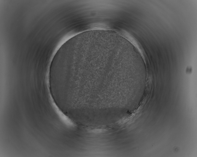 X0000094440811200711211455