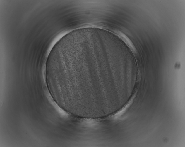 X0000094440812200711211454