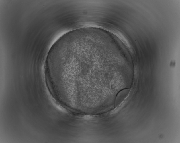 X0000094440814200711211454