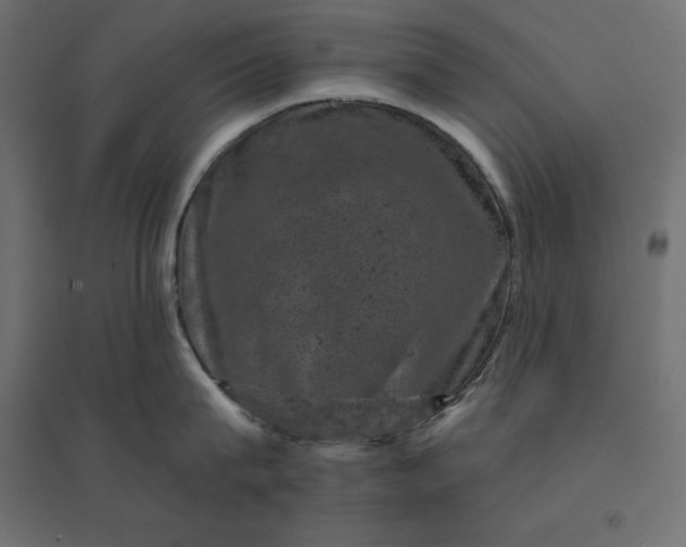 X0000094440815200711211454