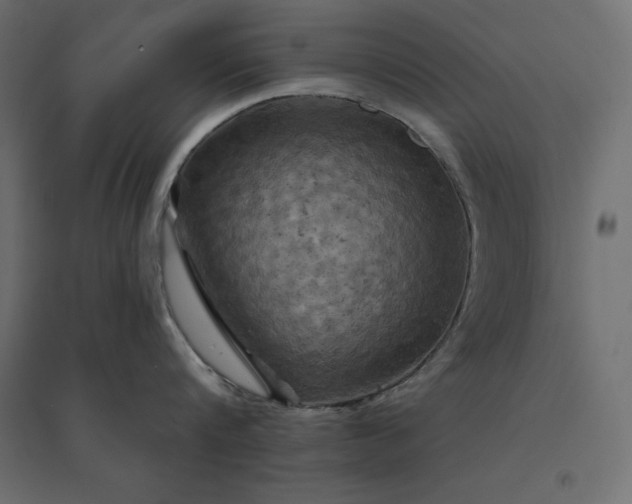 X0000094440816200711211454