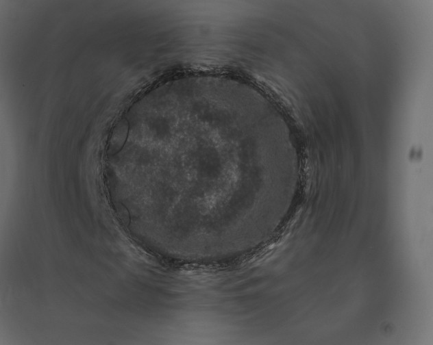 X0000094440817200711211454