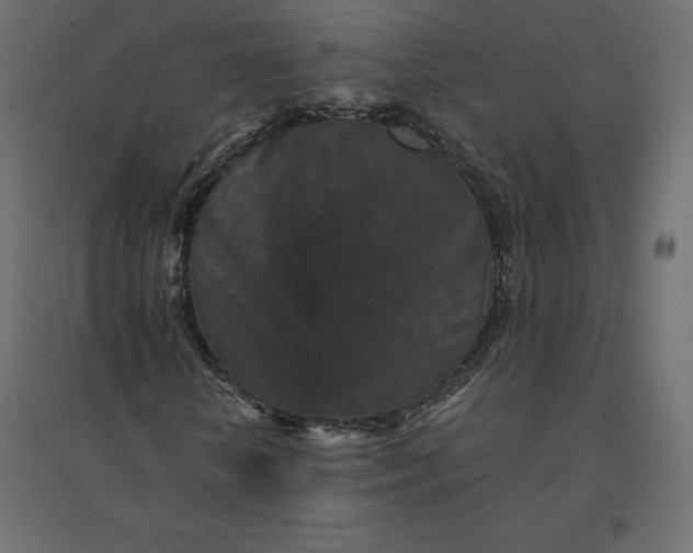 X0000094440818200711211454