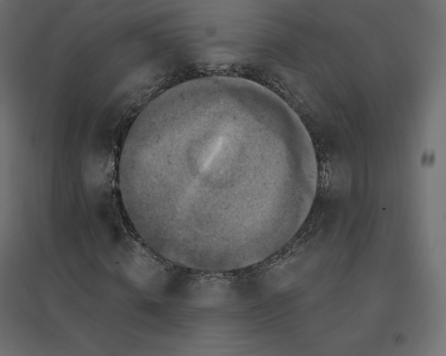 X0000094440820200711211454