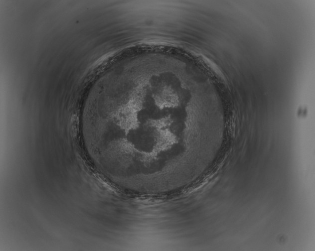 X0000094440821200711211454