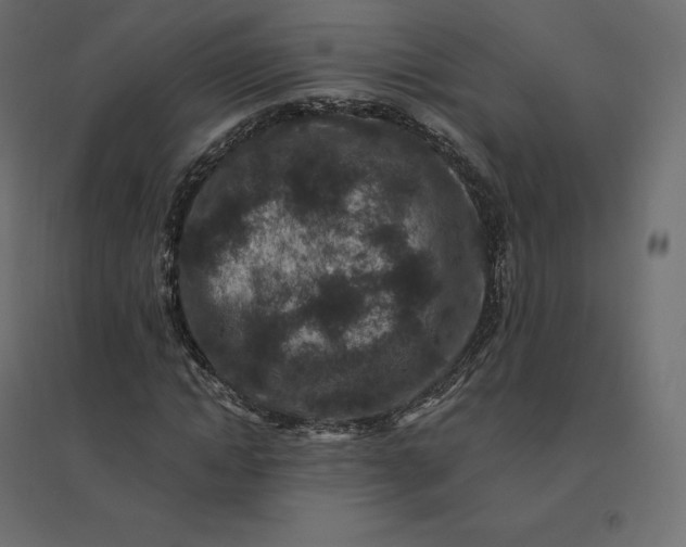 X0000094440822200711211454