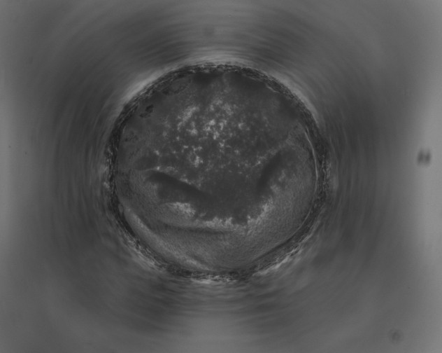 X0000094440823200711211454