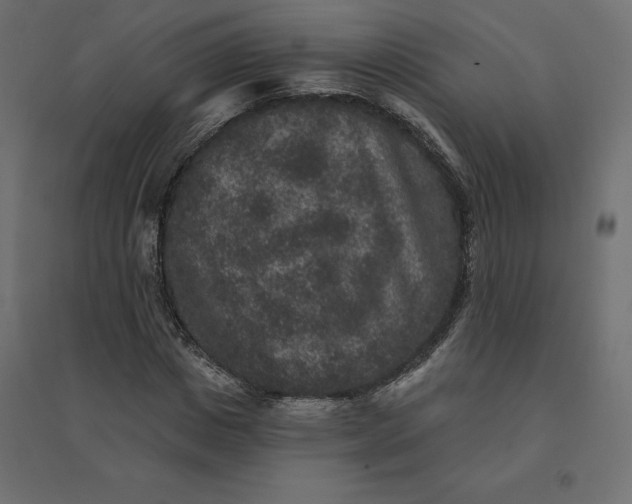 X0000094440825200711211454