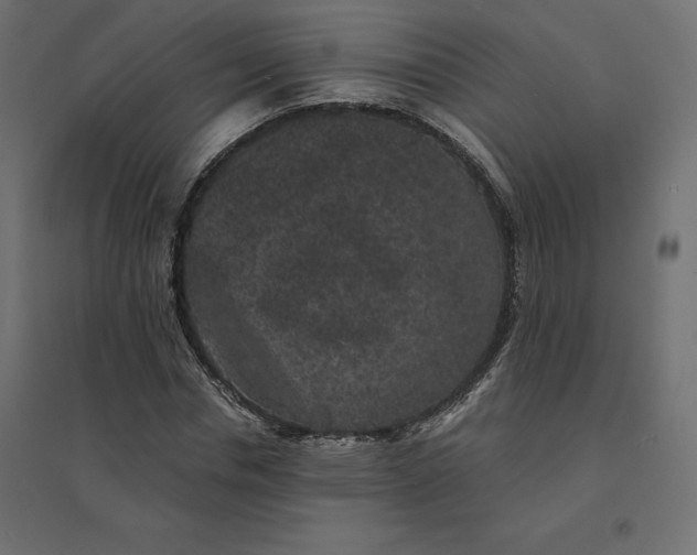 X0000094440826200711211454