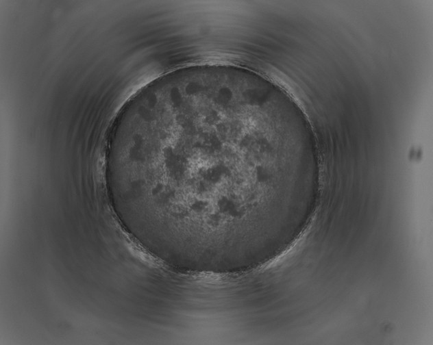 X0000094440827200711211454