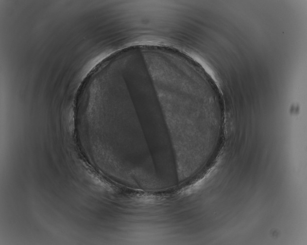 X0000094440829200711211454