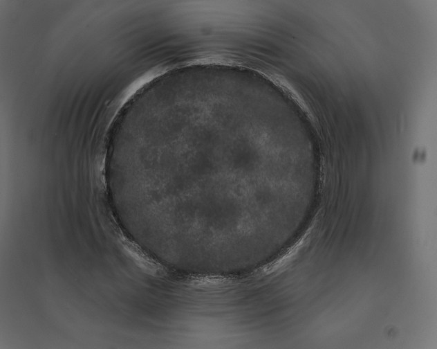 X0000094440830200711211454