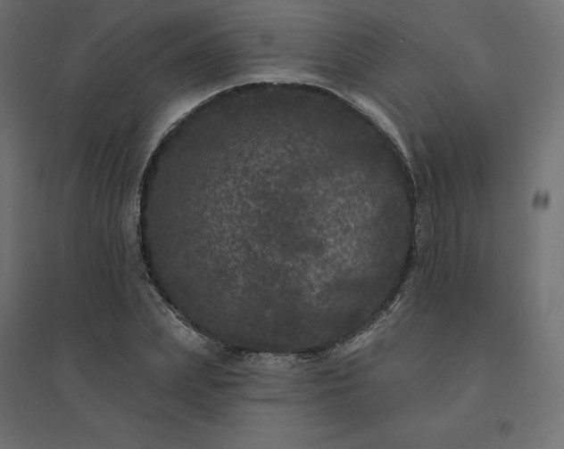 X0000094440831200711211454