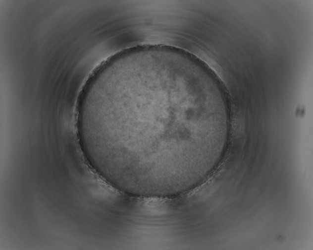 X0000094440832200711211454