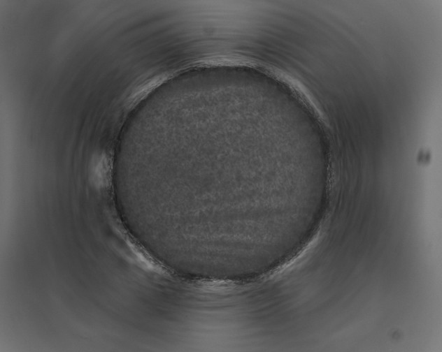 X0000094440833200711211454