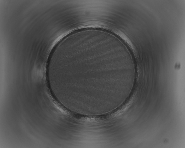 X0000094440834200711211454