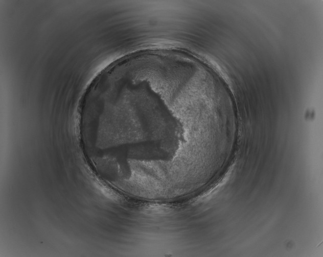 X0000094440835200711211454