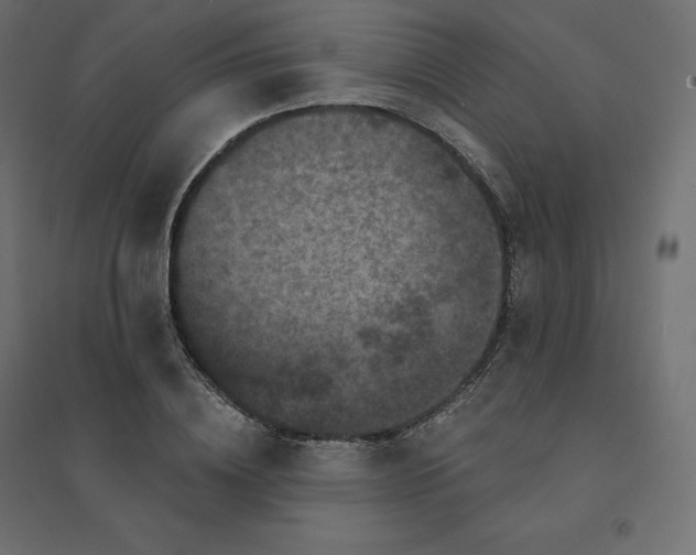 X0000094440836200711211454