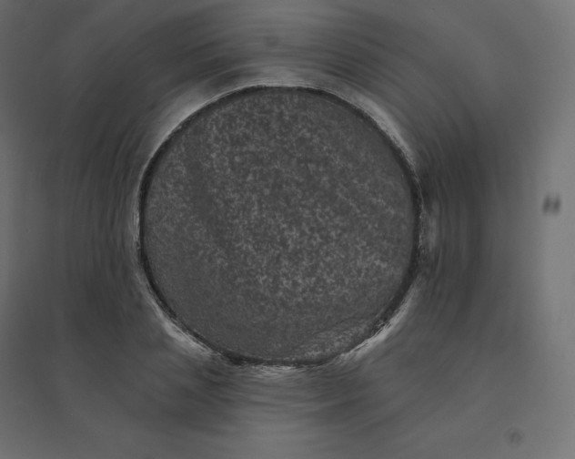 X0000094440837200711211454