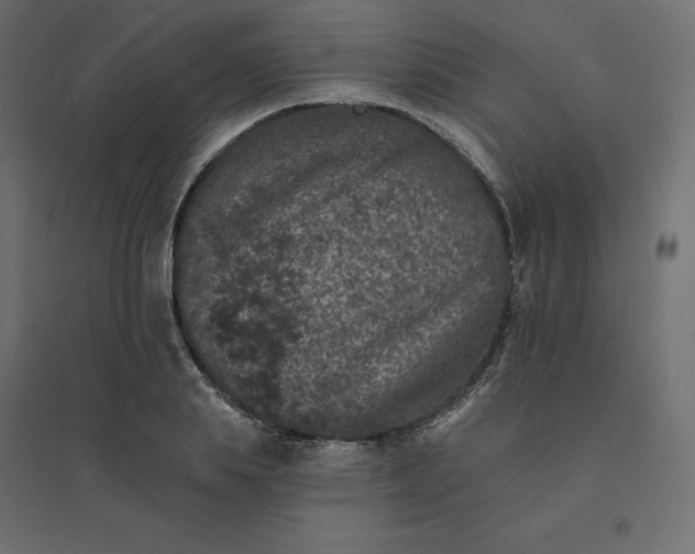 X0000094440839200711211454